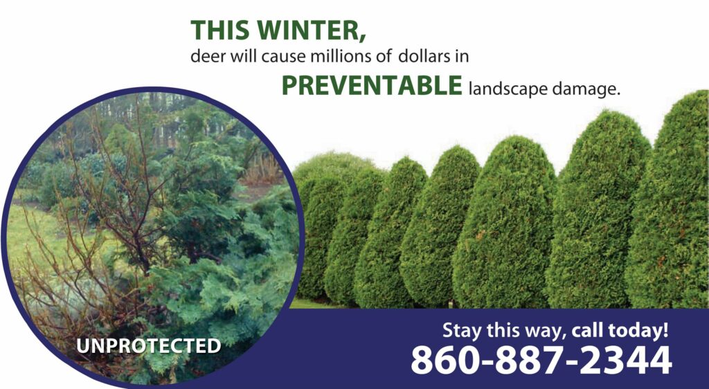 deer control prevention