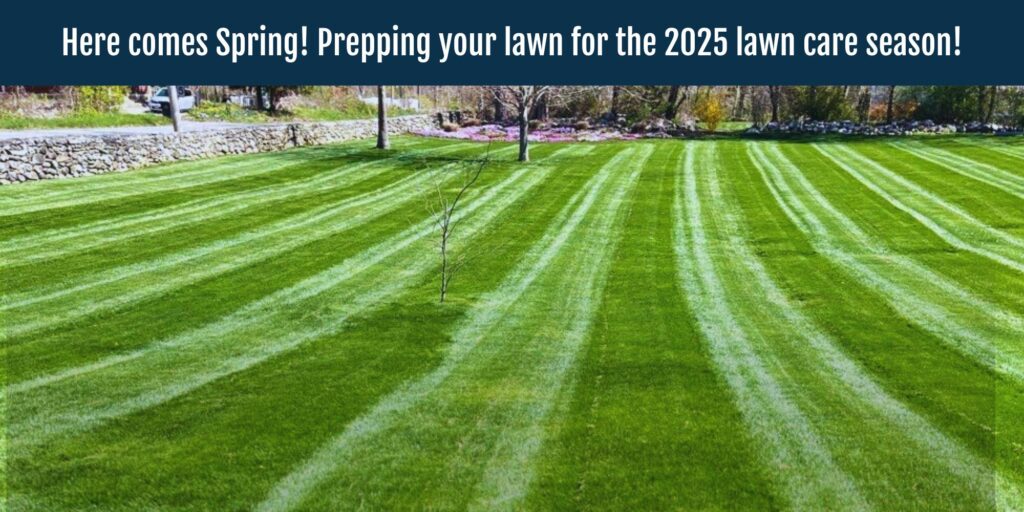 Spring Lawn Care in Norwich