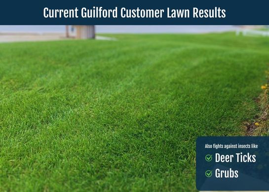 Guilford