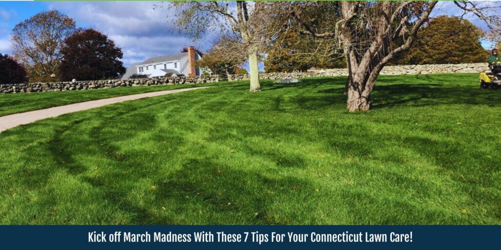 lawn care tips for homeowners in connecticut this march madness season