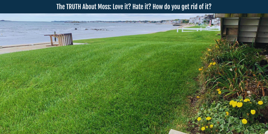 moss lawn care madison norwich connecticut