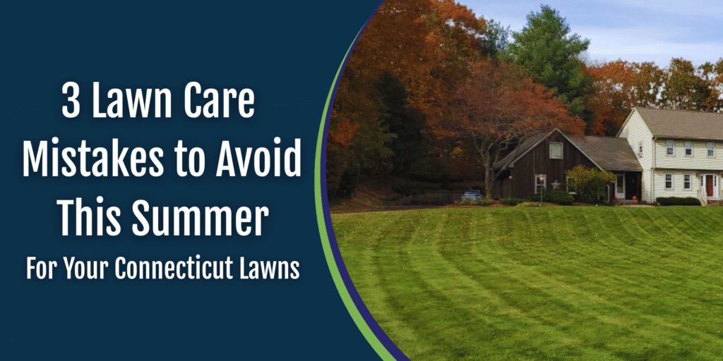 lawn care connecticut