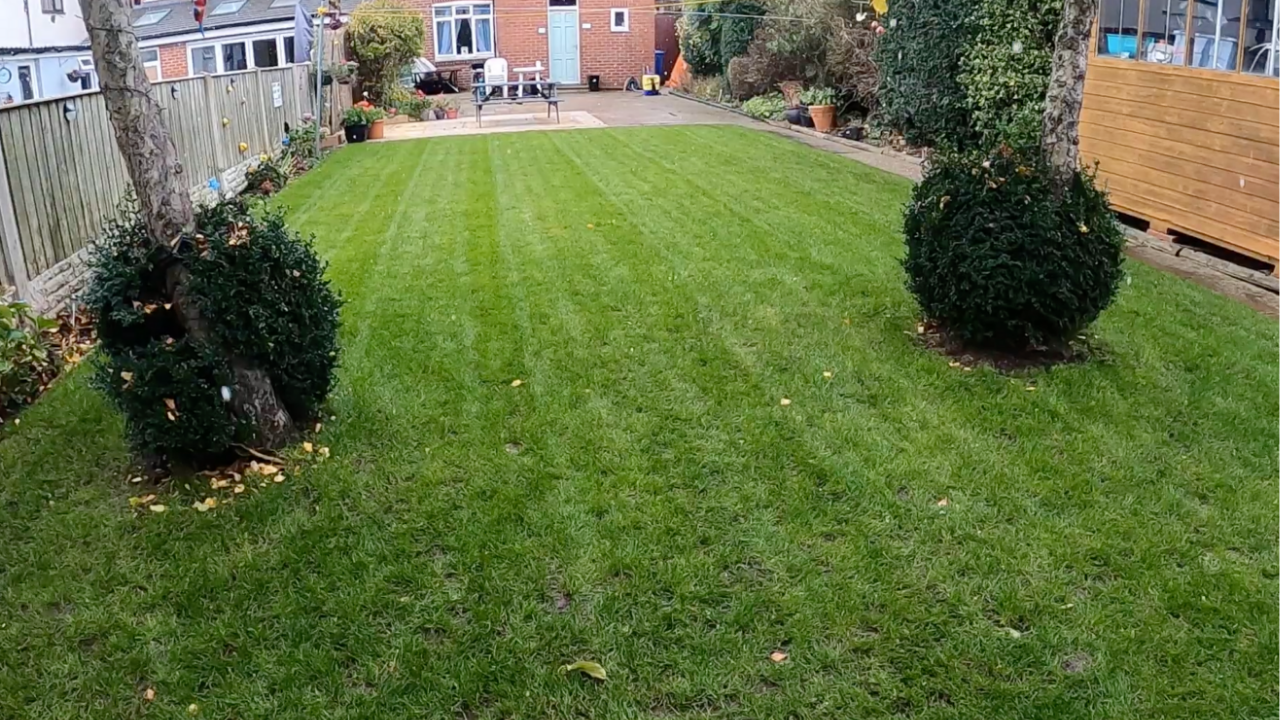Winter mowing on dry days helps collect leaves and protect turf