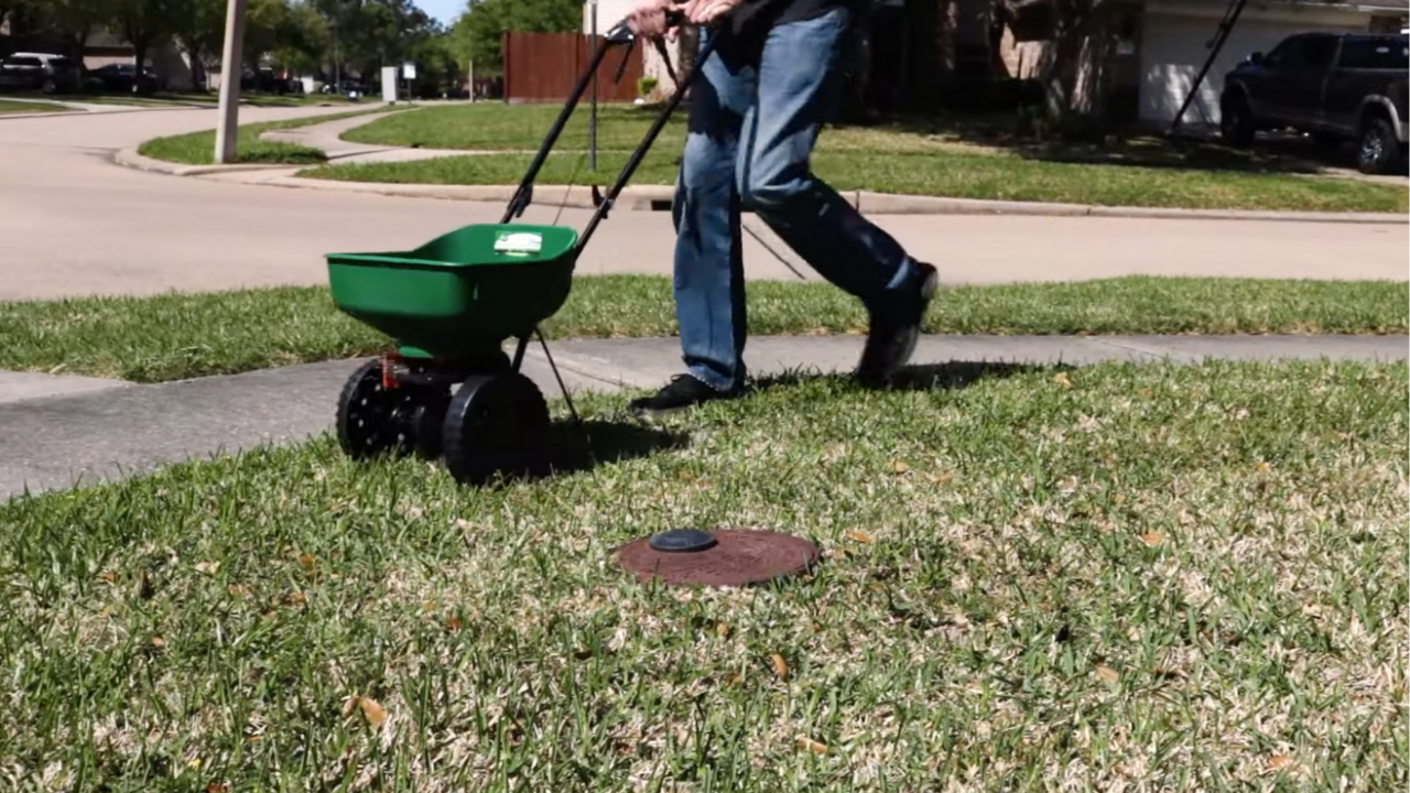 Person spot-treating weeds with hand pump sprayer